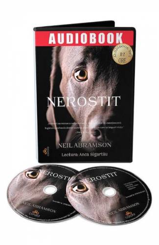 Audiobook Nerostit - Neil Abramson