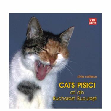 Pisici din Bucuresti | Silvia Colfescu