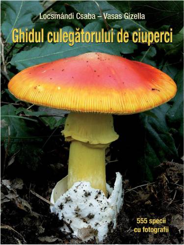 Ghidul culegatorului de ciuperci | Locsmandi Csaba