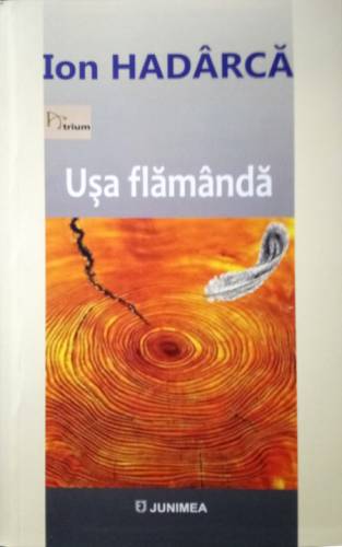 Usa flamanda | Ion Hadarca