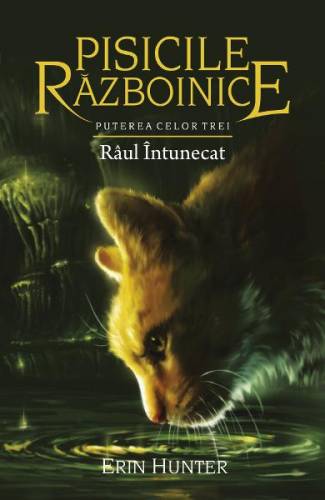 Pisicile Razboinice Vol14: Raul intunecat - Erin Hunter