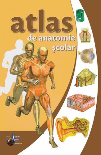 Atlas de anatomie scolar