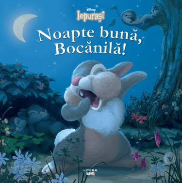 Noapte buna - Bocanila! |
