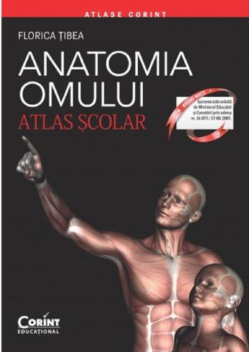 Anatomia omului - Atlas scolar | Florina Tibea